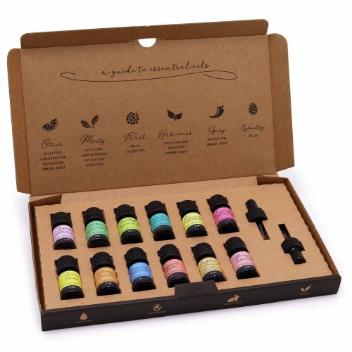 (image for) Aromatherapy Essential Oil Set - The Top 12