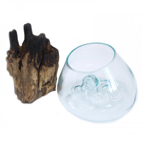 (image for) Molten Glass on Wood - Large Bowl