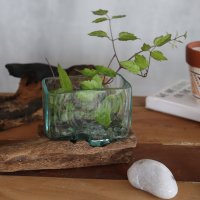 (image for) Molten Glass Tank on Wood with Stand - Small Bowl