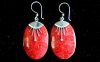 (image for) 925 Silver Earrings - Oval Décor