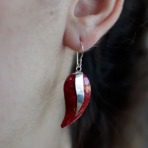 (image for) 925 Silver Earrings - Mangos