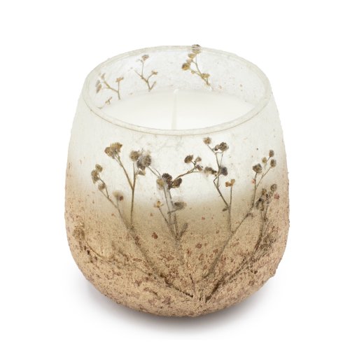 (image for) Medium Glass Jar Candles - Wildlight Woods